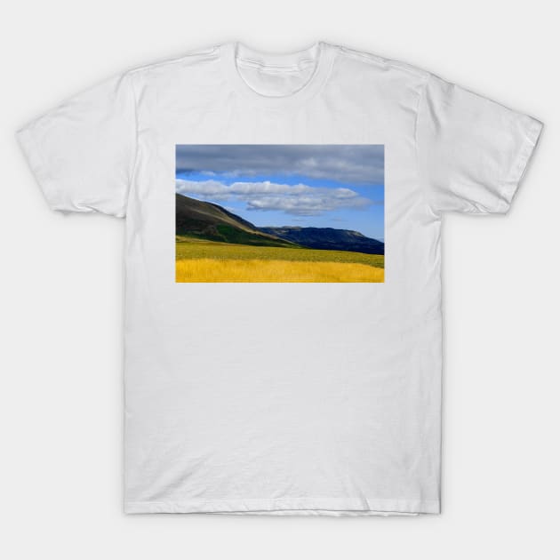 On the Golden Circle, Iceland T-Shirt by BrianPShaw